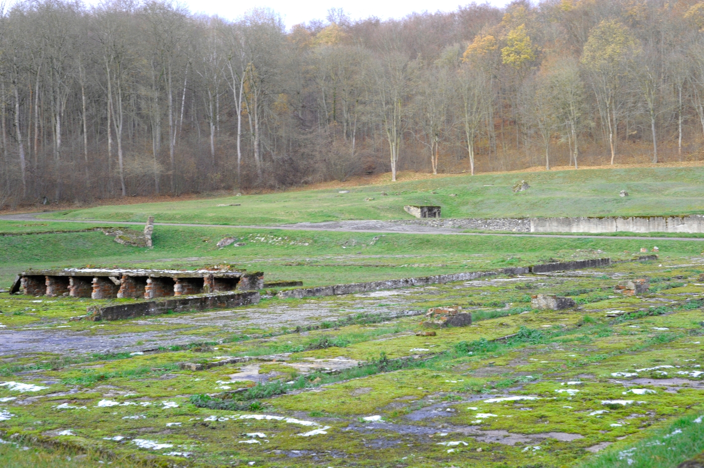 A large, flat stone surface can be seen in front of a late autumn forest. On the left you can see a series of wall niches.