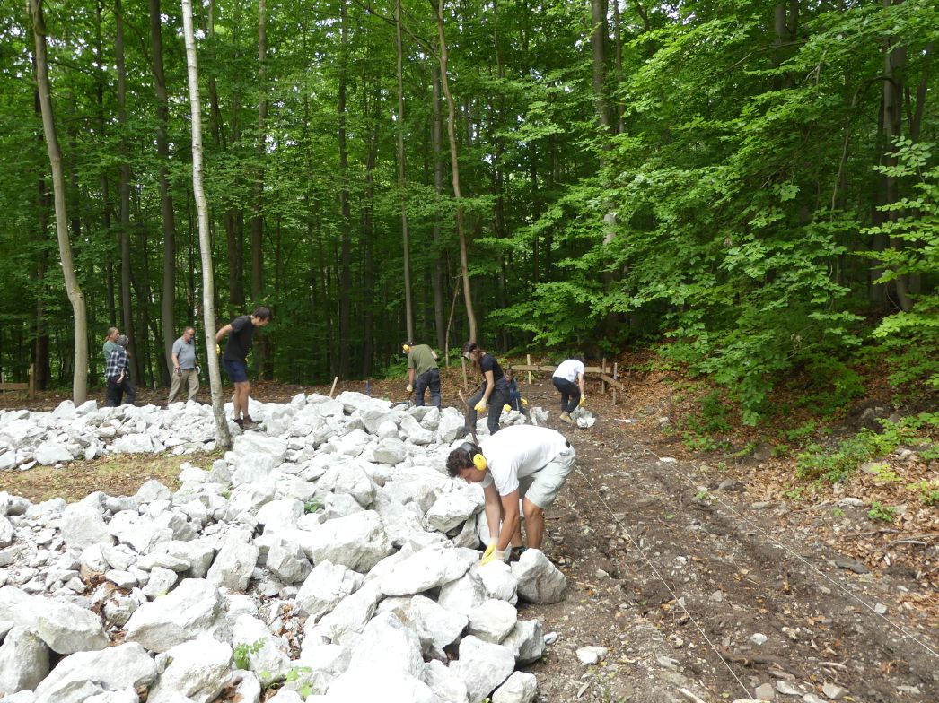 Young volunteers position whitish rubble stone to use it to make visible the outline of a former camp building.