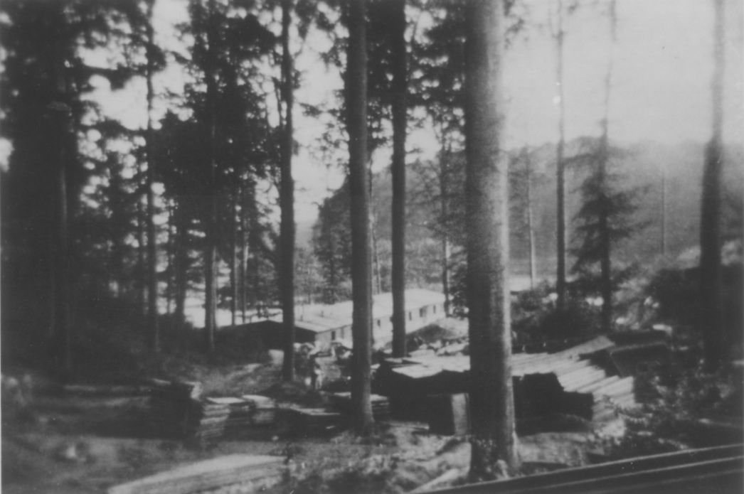 Zu sehen sind Holzbretterstapel, die unter Bäumen liegen. Im Hintergrund sieht man eine langgezogene, halb fertig gebaute Baracke.