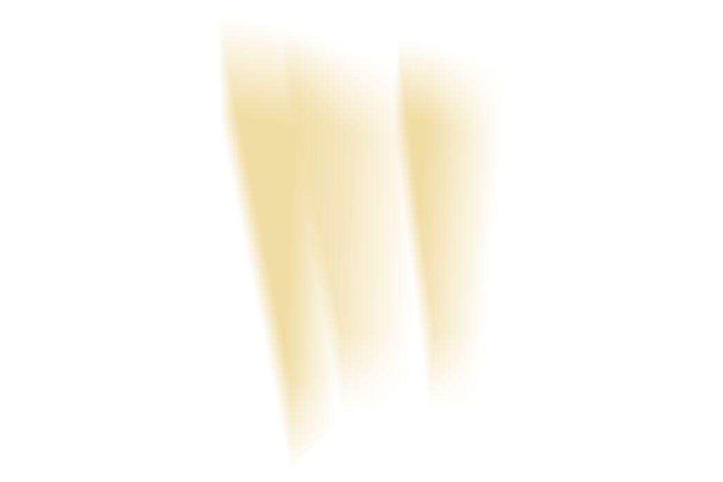 Logo der Stiftung