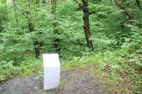 An information board surrounded by trees and bushes.