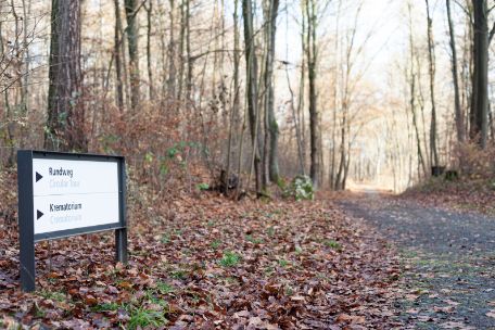 Ein herbstlich belaubter Waldweg, zu dessen Linken ein Schild steht. Auf dem Schild ist die Richtung des Wegs zum Krematorium sowie der Verlauf des Rundwegs über das Gedenkstättengelände ausgewiesen.
