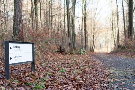 An autumn leafy forest path with a sign on its left. The sign shows the direction of the path to the crematorium and the course of the circular route across the memorial grounds.