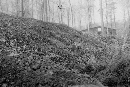 The slope of a hill littered with ashes and bone parts. In the background the crematorium building, partially hidden by trees.