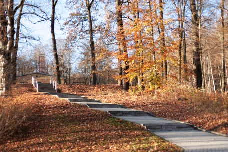 Die Treppe, die zum Gedenkplatz vor dem ehemaligen Krematorium führt. Rechts und links davon erstreckt sich eine herbstliche Szenerie.