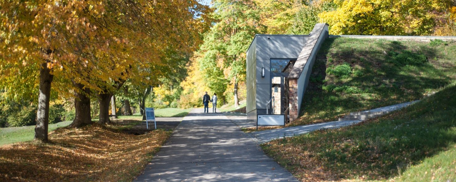 Path made of concrete slabs under trees. The exhibition building is built into a kind of embankment. 