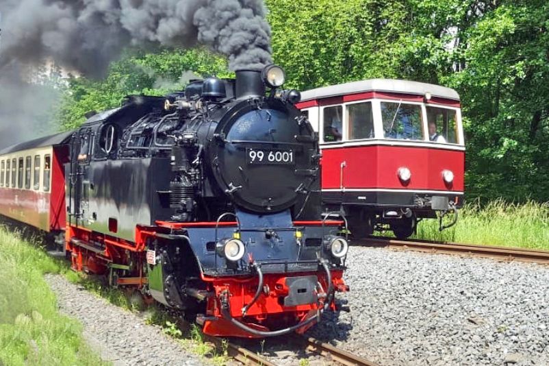 Auf dem Foto ist eine Dampflokomotive zu sehen, die eine Schmalspurschiene befährt.
